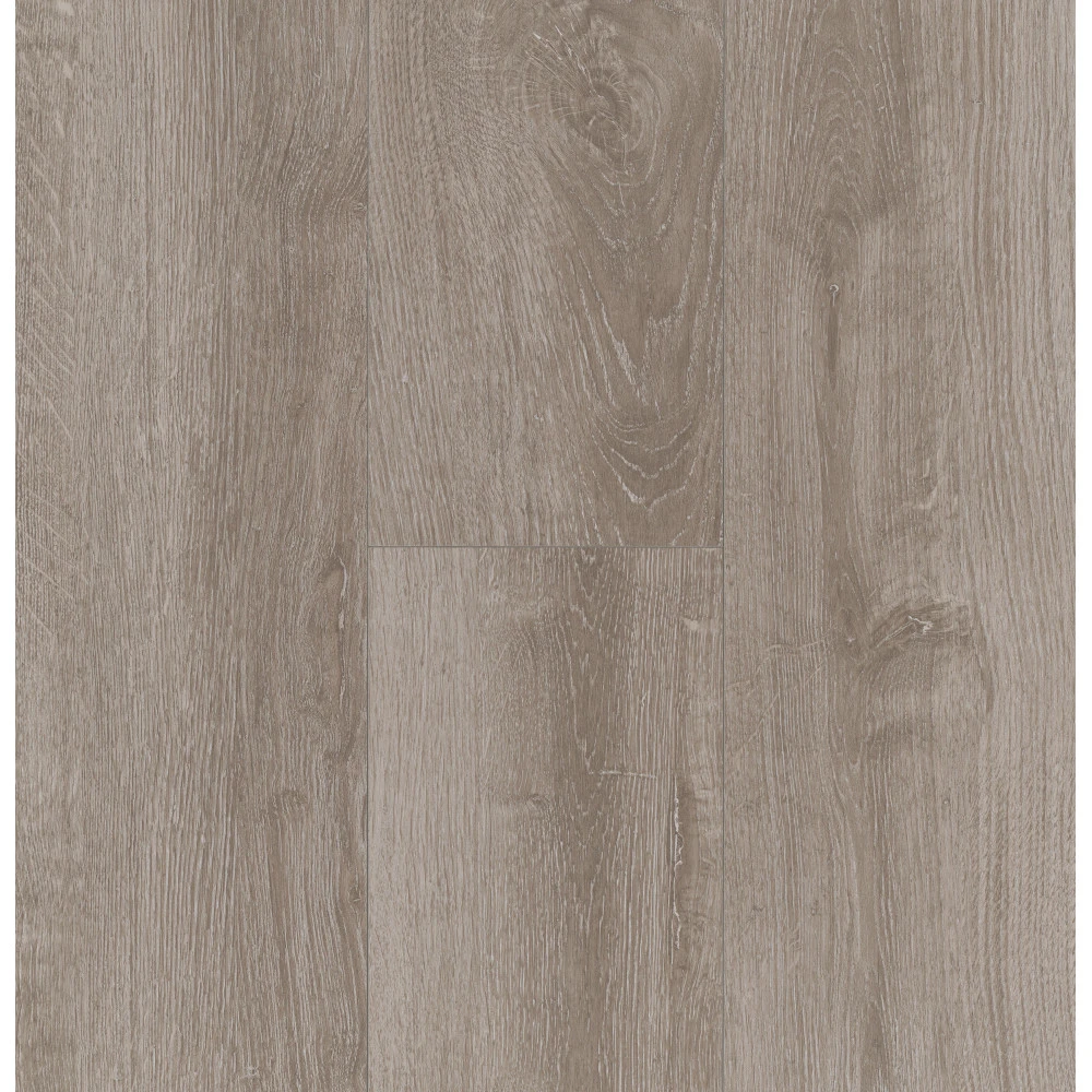 Parador Laminat Basic 200 M4V Eg Lysegrå Silkemat Struktur Gulv 5 Parador Laminat Basic 200 M4V Eg Lysegrå Silkemat Struktur Gulv - Billede 3