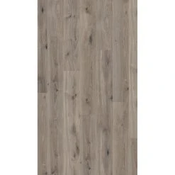 Parador Laminat Basic 400 Eg Basaltgrå Planke Silkemat Struktur Gulv